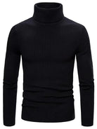 Henry | Elegant Ribbed Turtleneck Sweater - Valereo