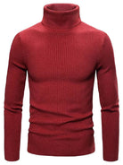 Henry | Elegant Ribbed Turtleneck Sweater - Valereo