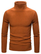 Henry | Elegant Ribbed Turtleneck Sweater - Valereo